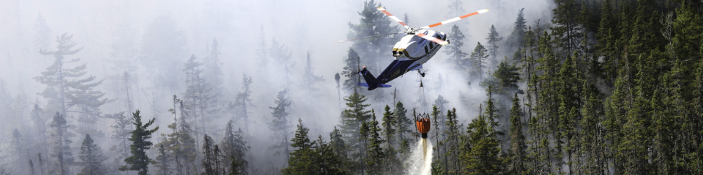 West Dalhousie Wildfire