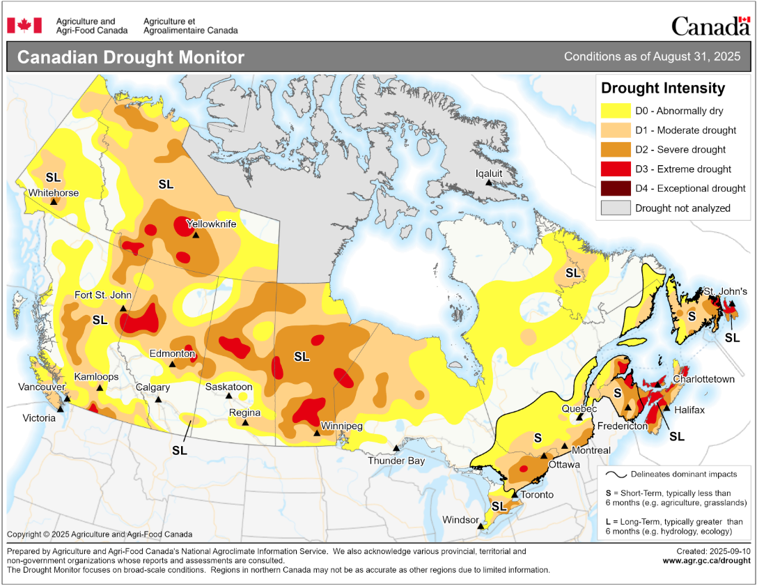 Screenshot 2025 10 08 152046